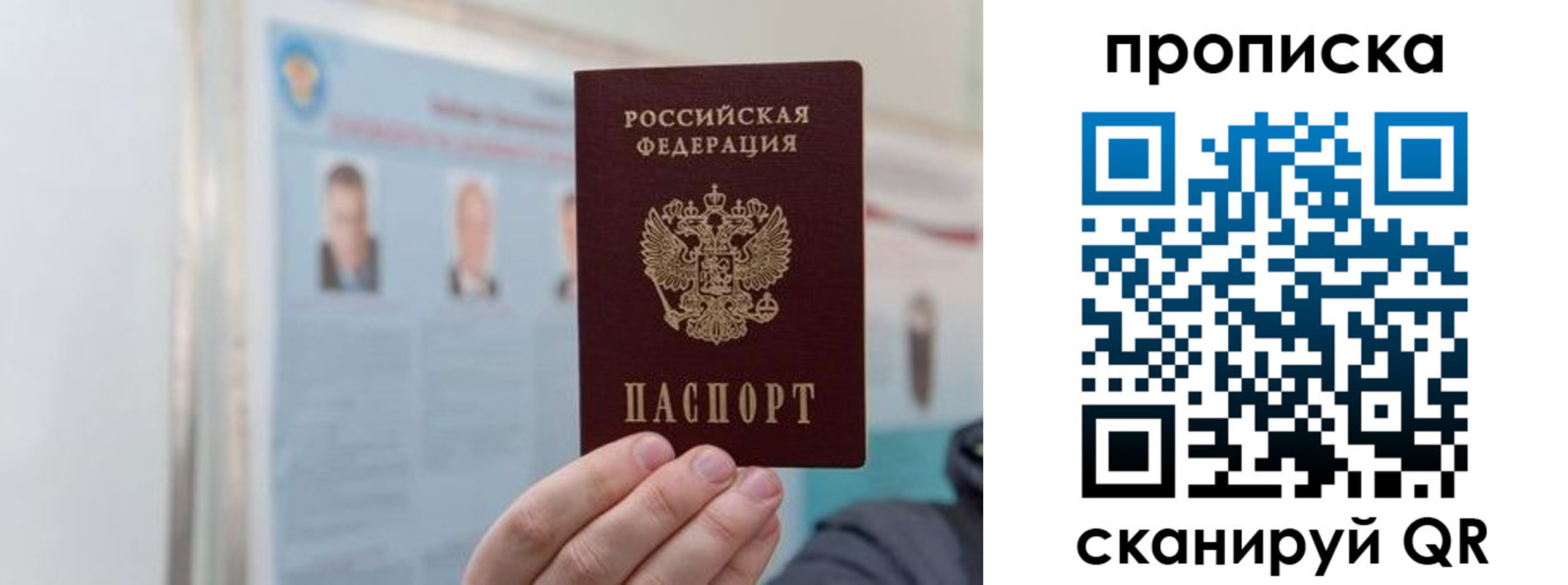 прописка 2025 в Владимире